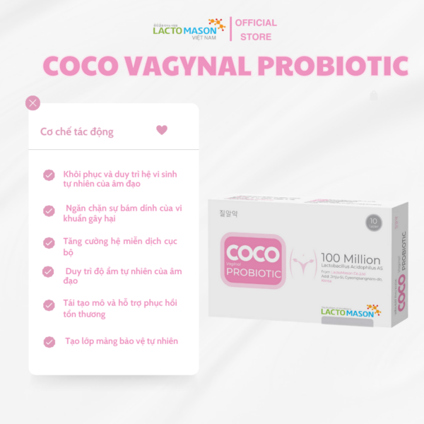 Viên Đặt Lợi Khuẩn COCO PROBIOTIC
